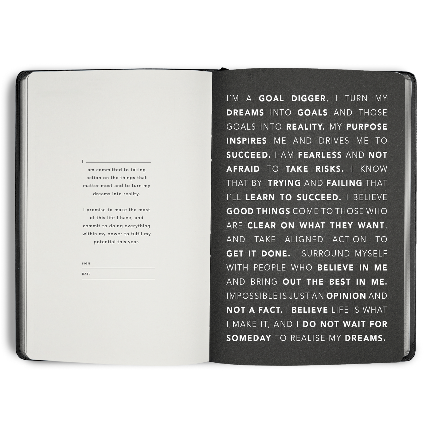Non-Dated Goal Digger Planner B5