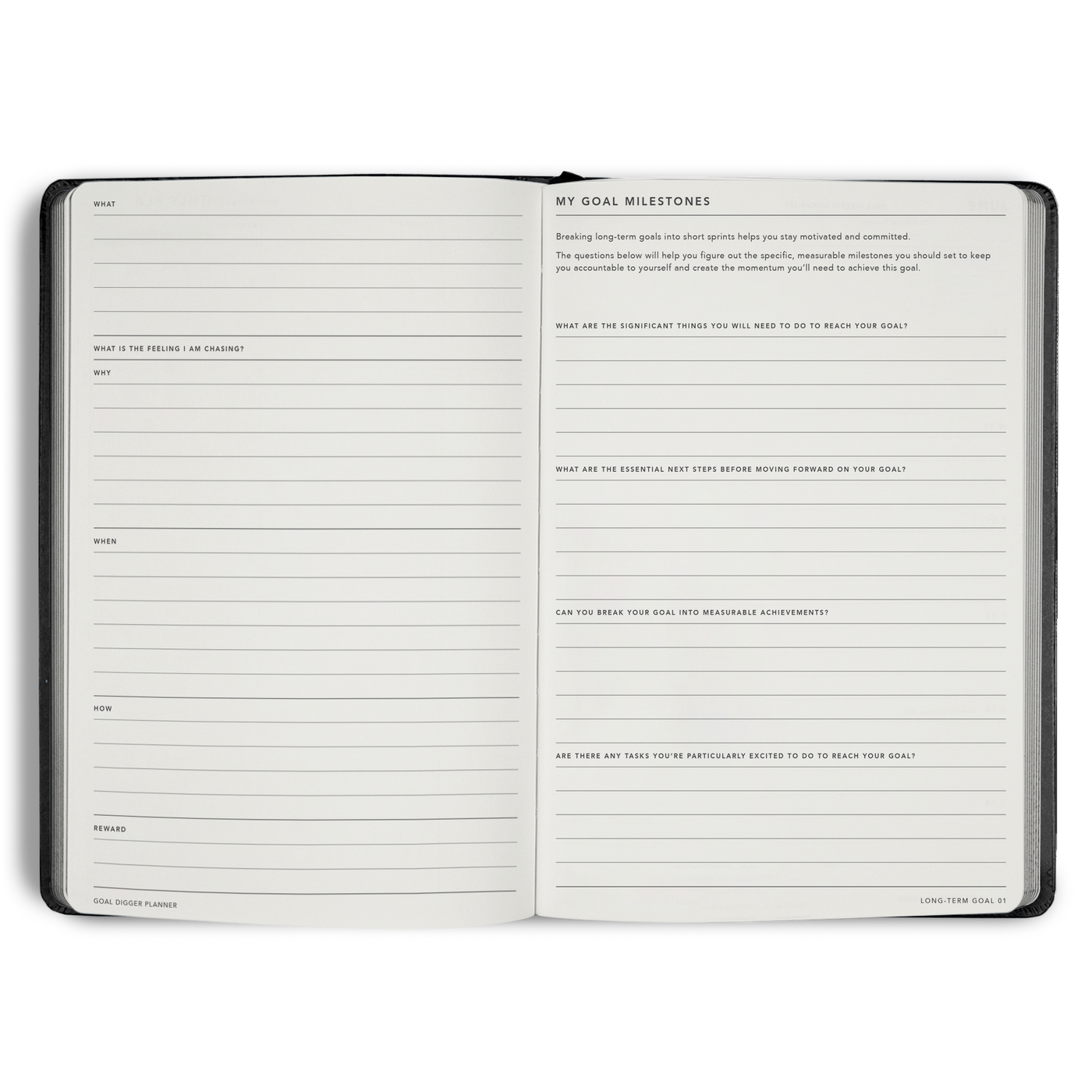Non-Dated Goal Digger Planner B5