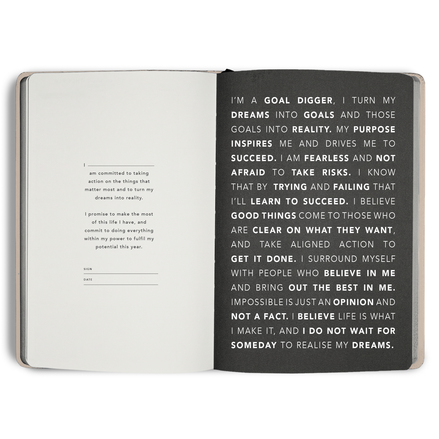 Non-Dated Goal Digger Planner B5