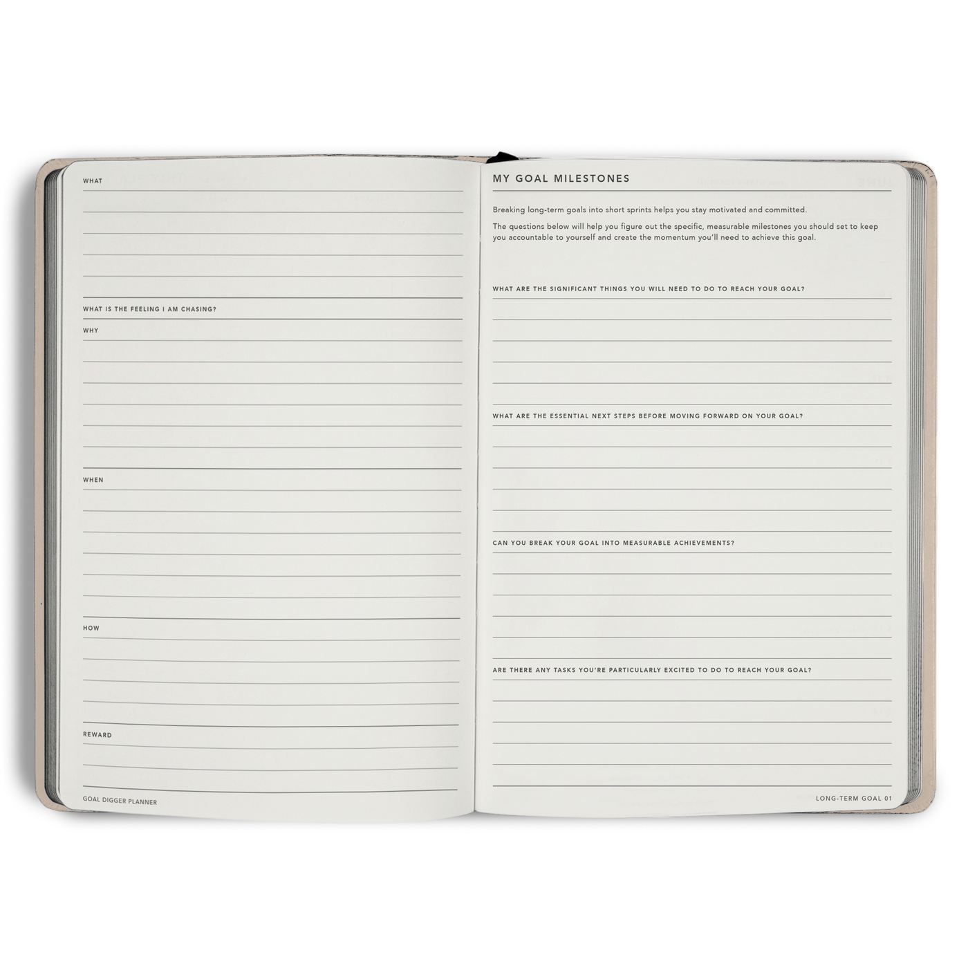Non-Dated Goal Digger Planner B5