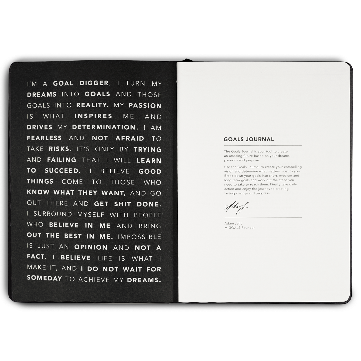 Goals Journal