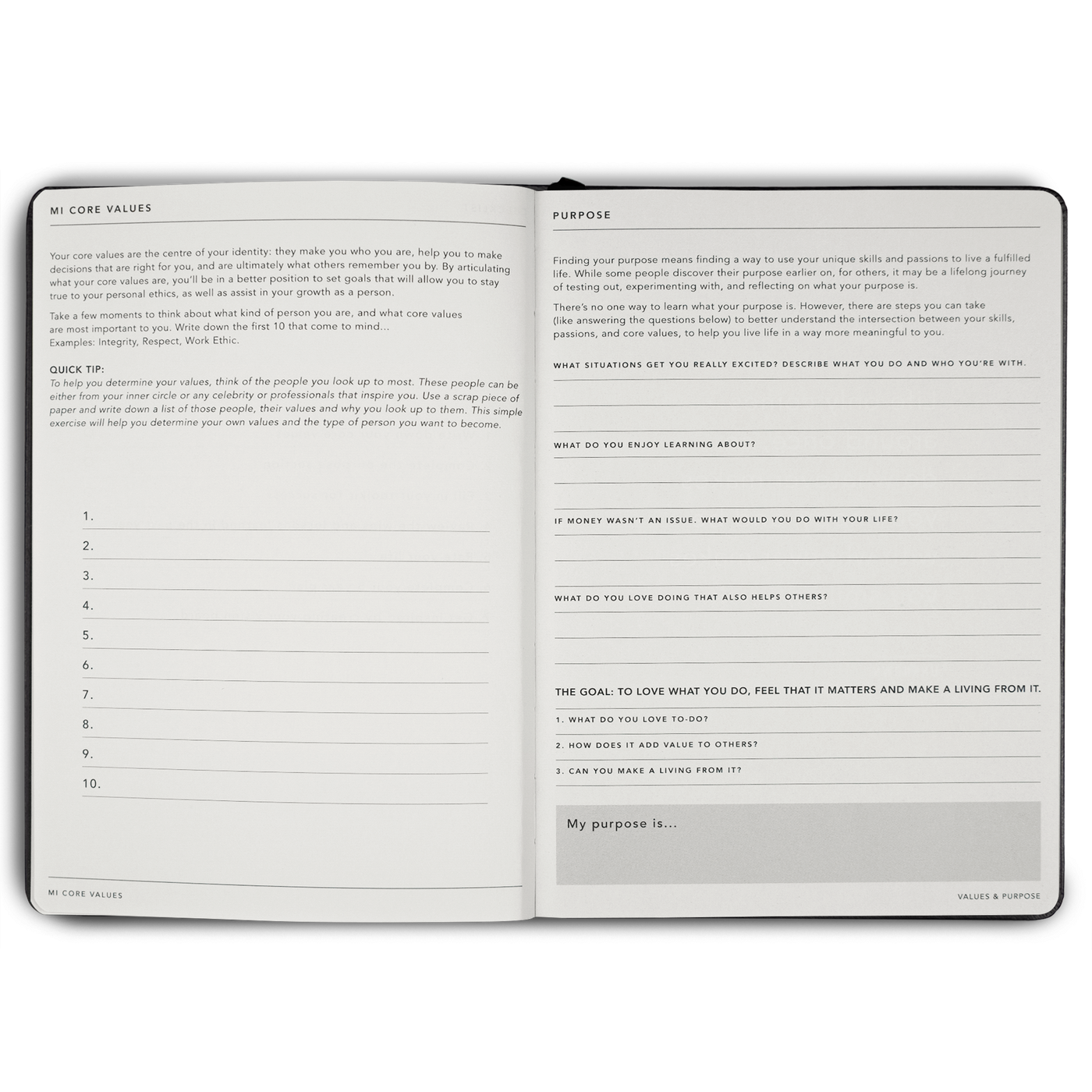 Goals Journal
