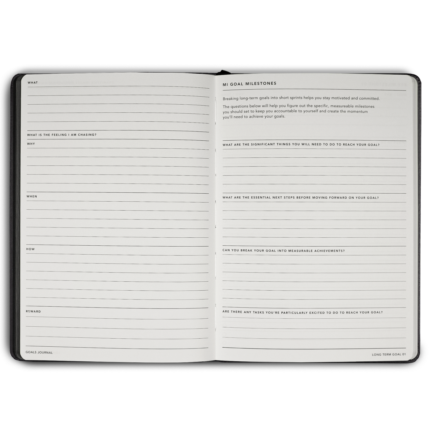 Goals Journal