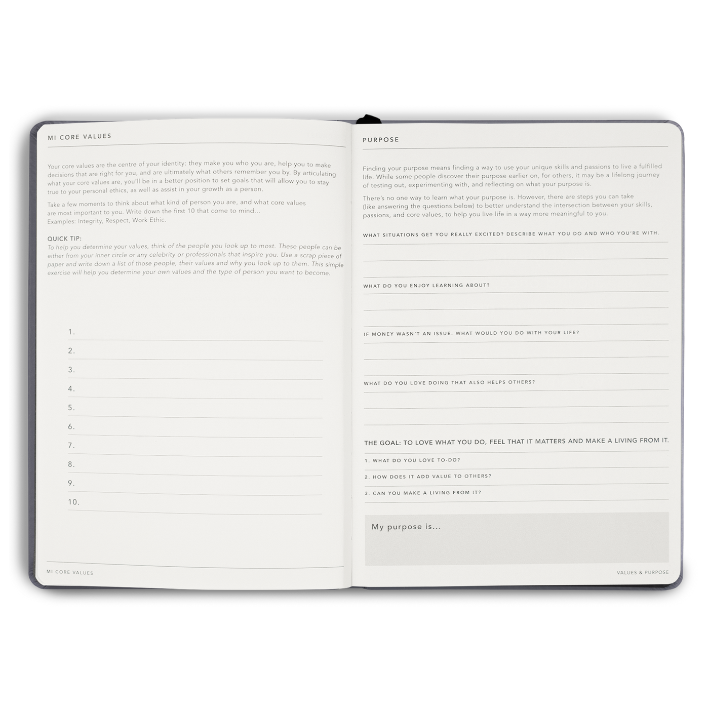 Goals Journal