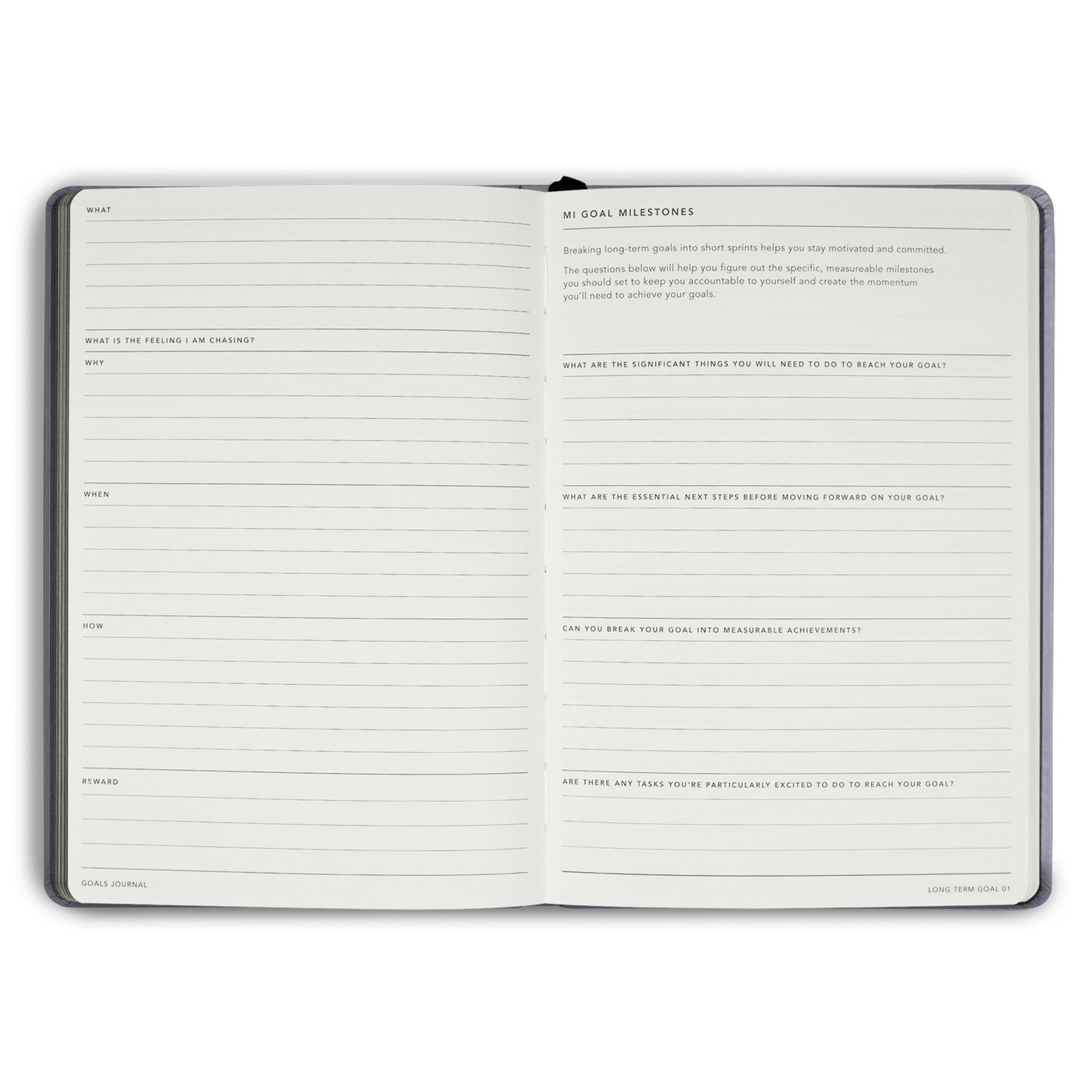 Goals Journal