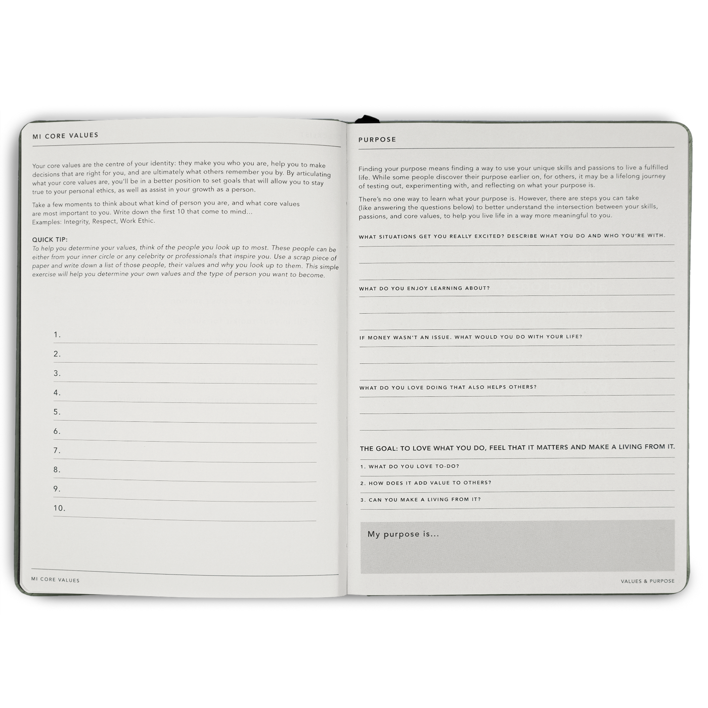 Goals Journal