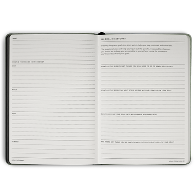 Goals Journal