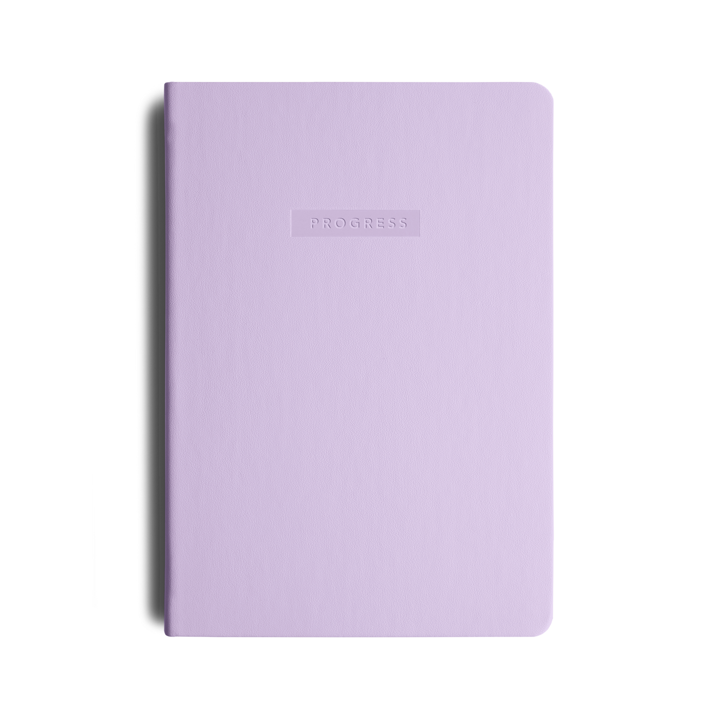 90 Day Progress Journal