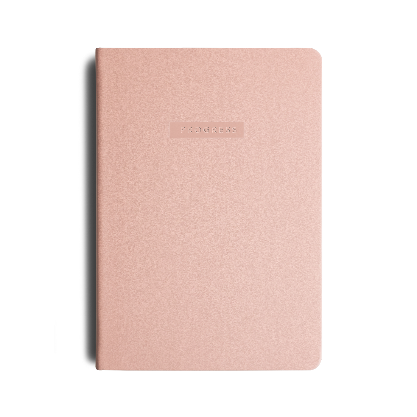 90 Day Progress Journal