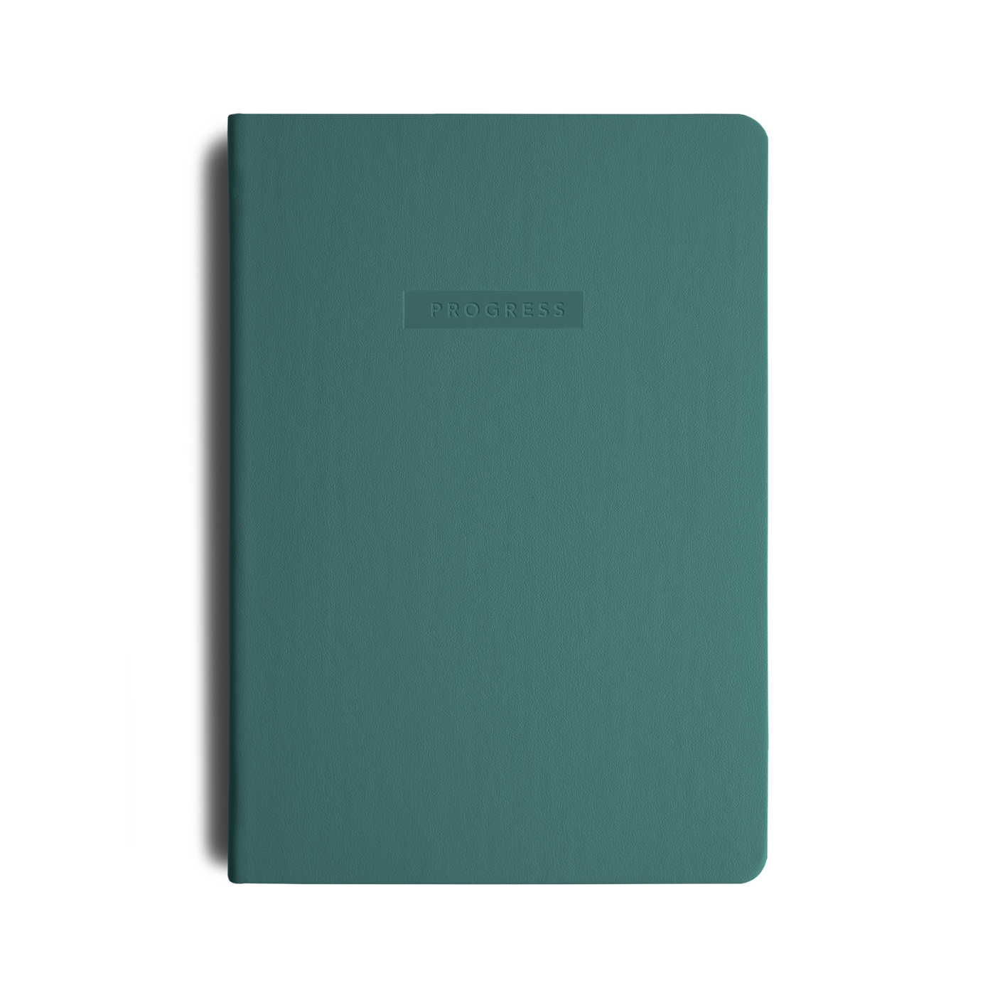 90 Day Progress Journal