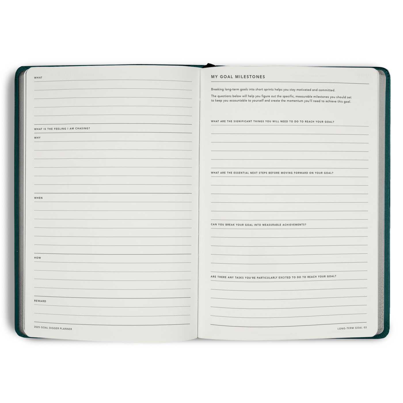 2025 Goal Digger Planner Classic B5