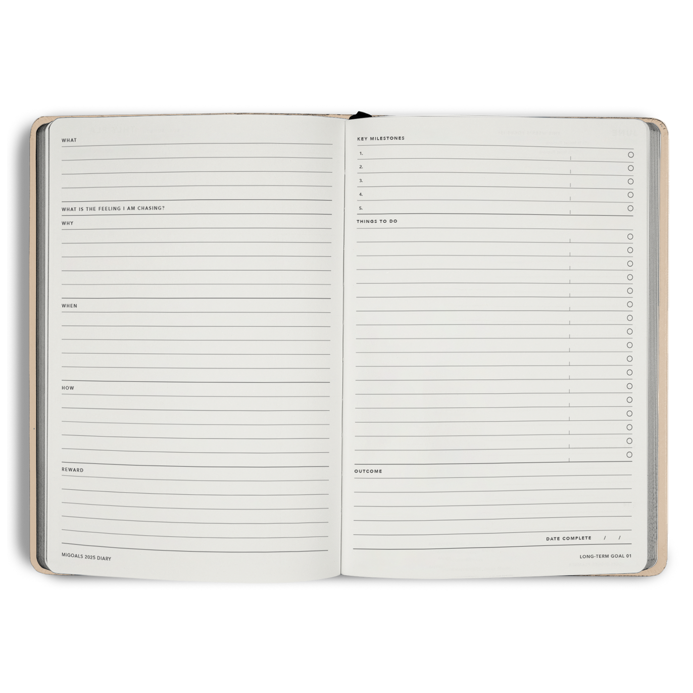 2025 Weekly Notes Diary A5