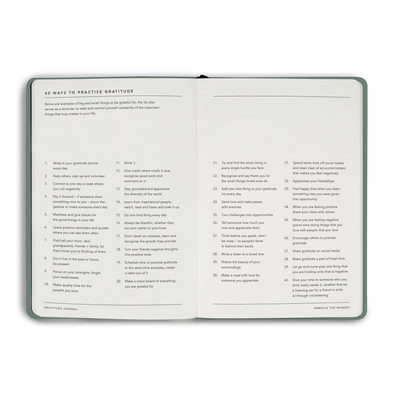 Gratitude Journal