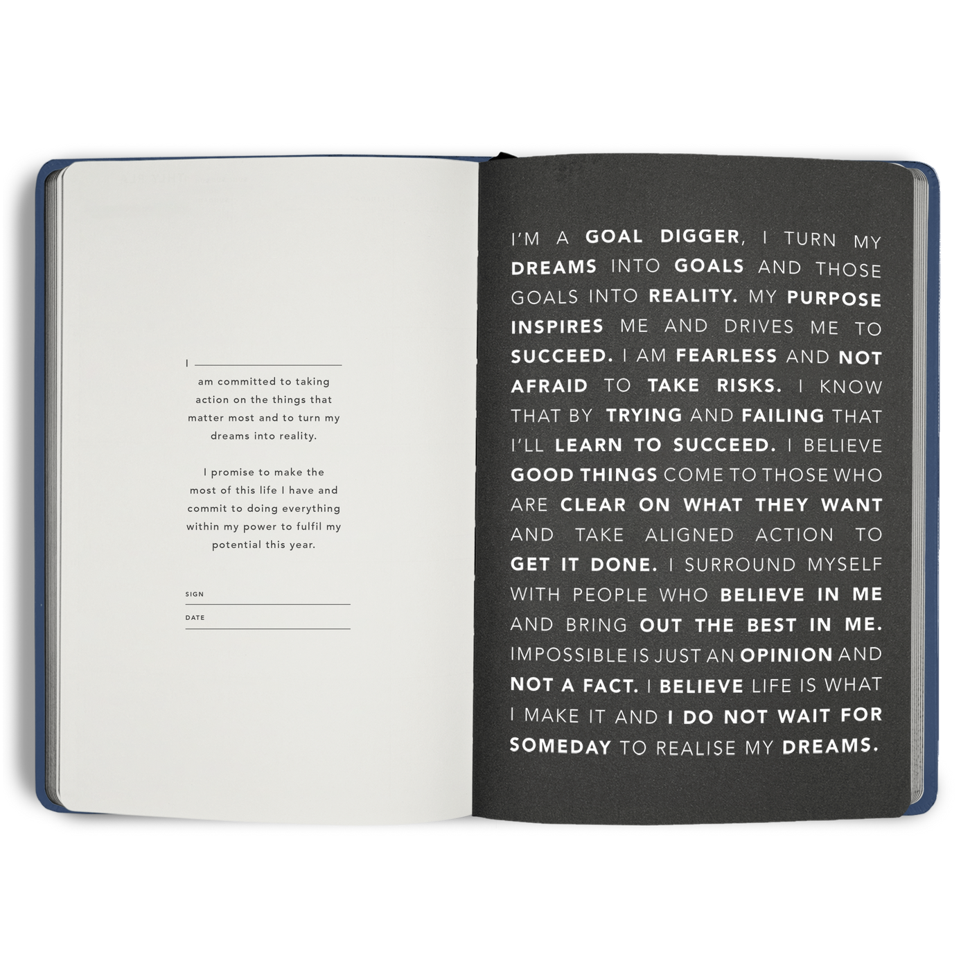 2026 DAILY Goal Digger Planner B5