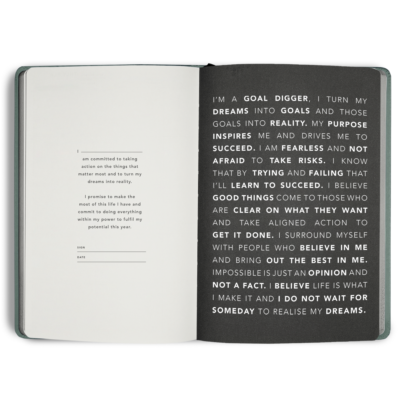 2027 DAILY Goal Digger Planner B5