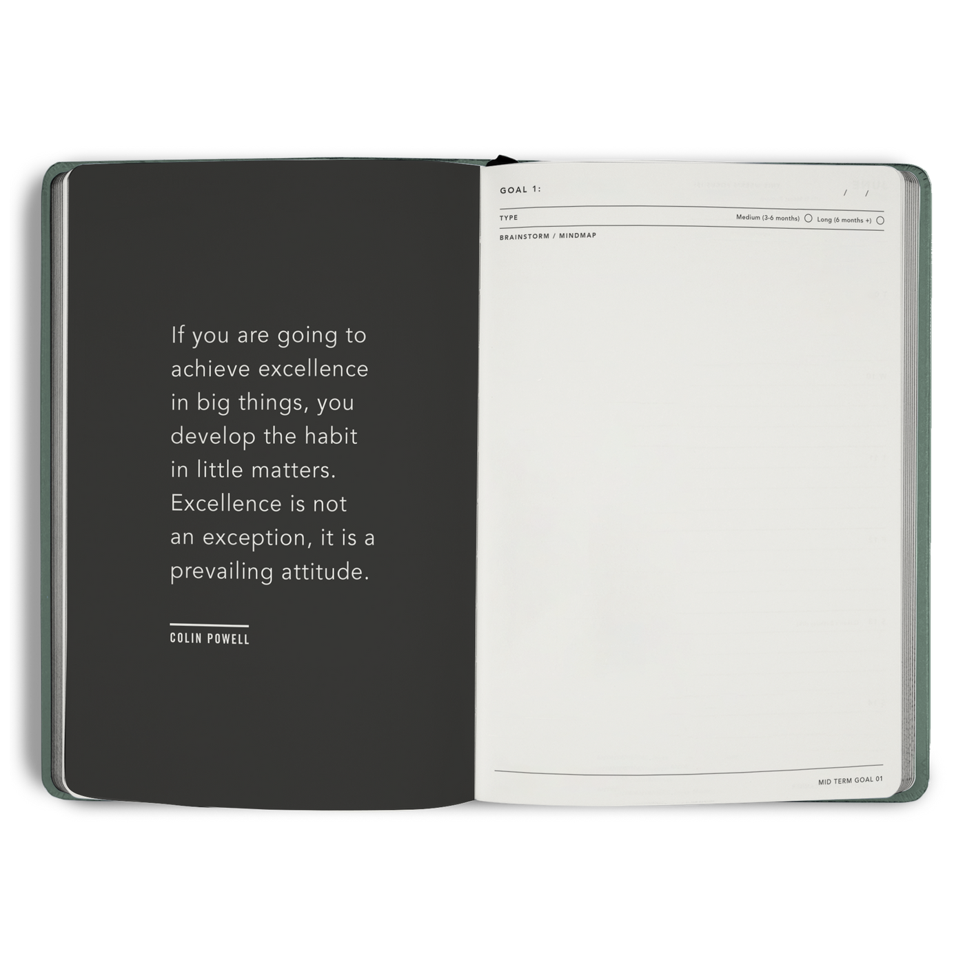 Goals Journal