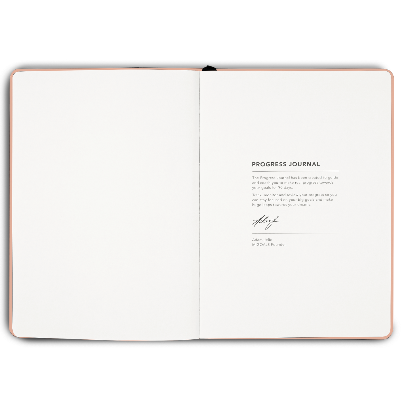 90 Day Progress Journal