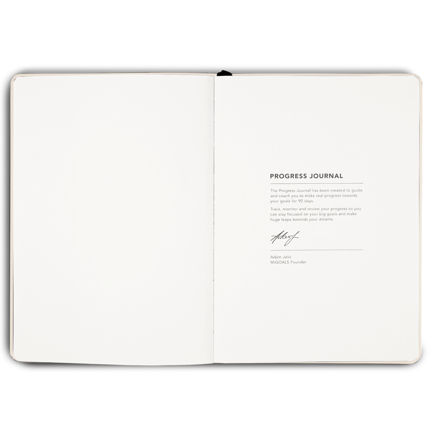 90 Day Progress Journal