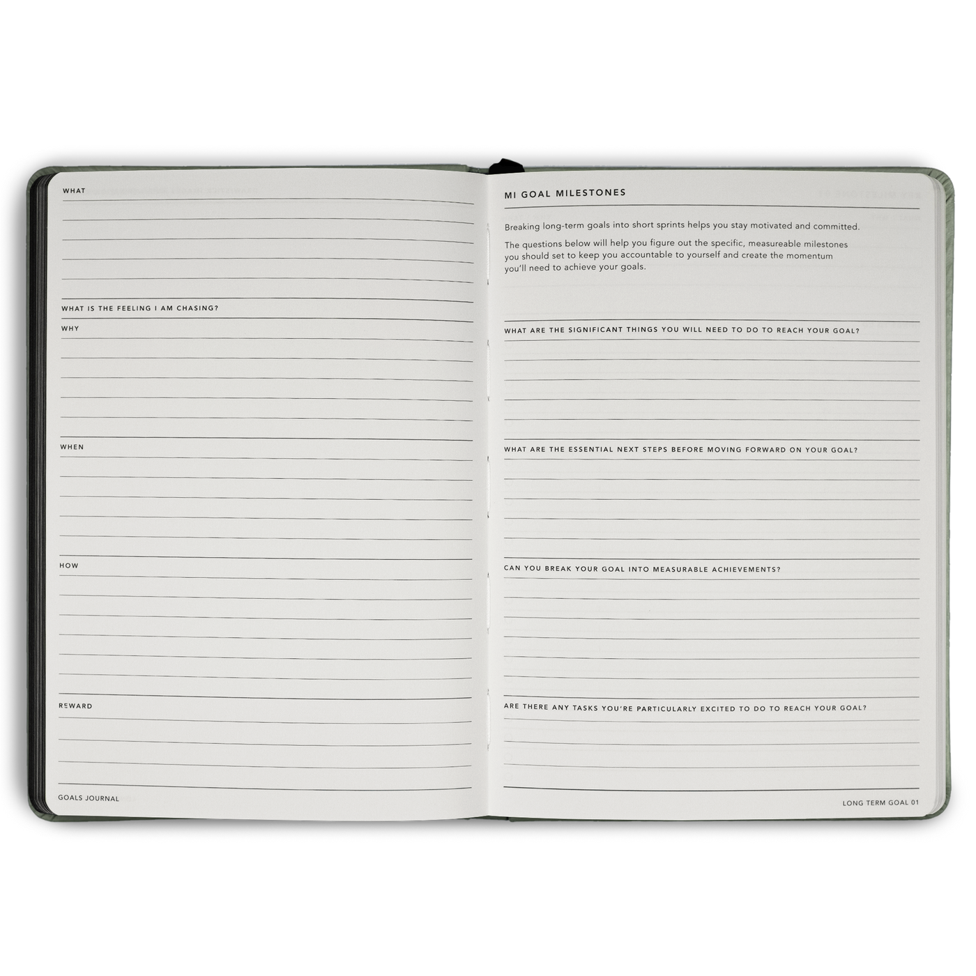 Goals Journal